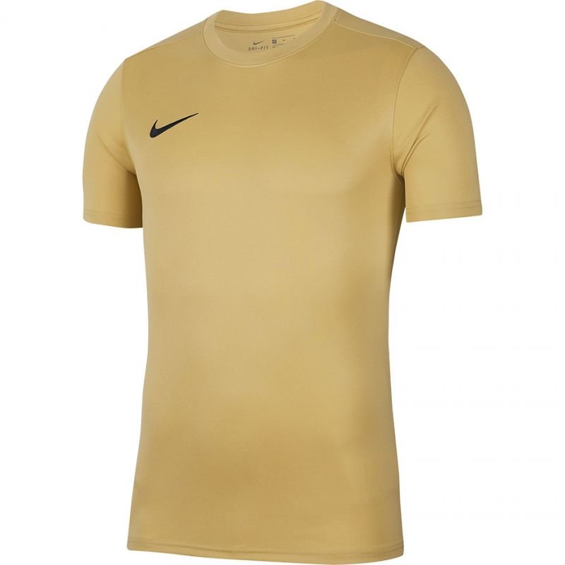 Nike Dry Park VII JSY SS JR BV6741-729 football jersey