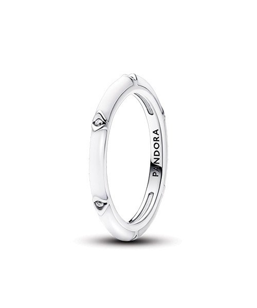 PANDORA – JEWELRY