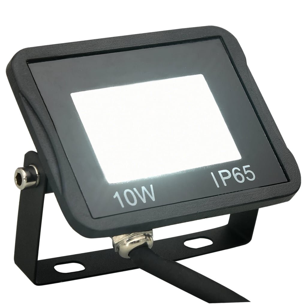 vidaXL Projecteur à LED 10 W Blanc froid