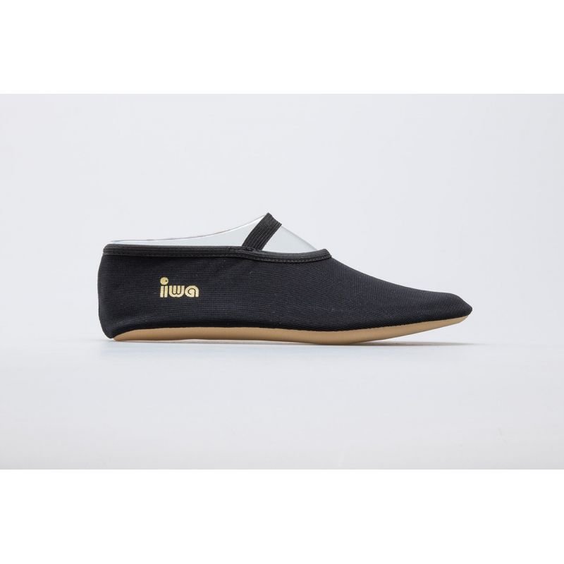 IWA 250 ballet flats