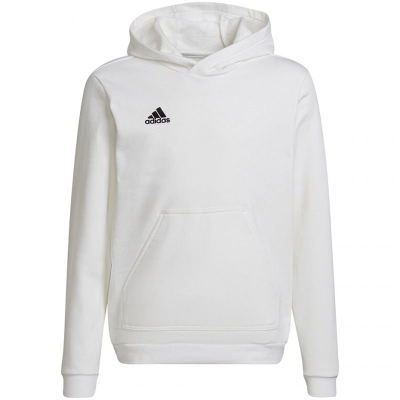 Sweatshirt adidas Entrada 22 Hoody Jr HG6303