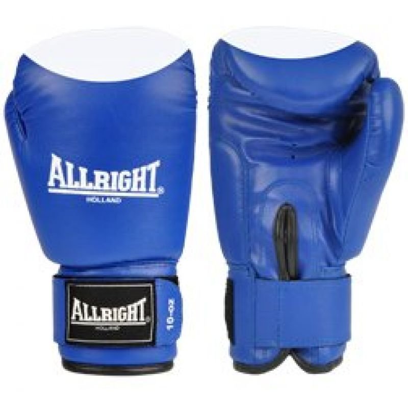 Allright PVC Boxing Gloves Blue and White