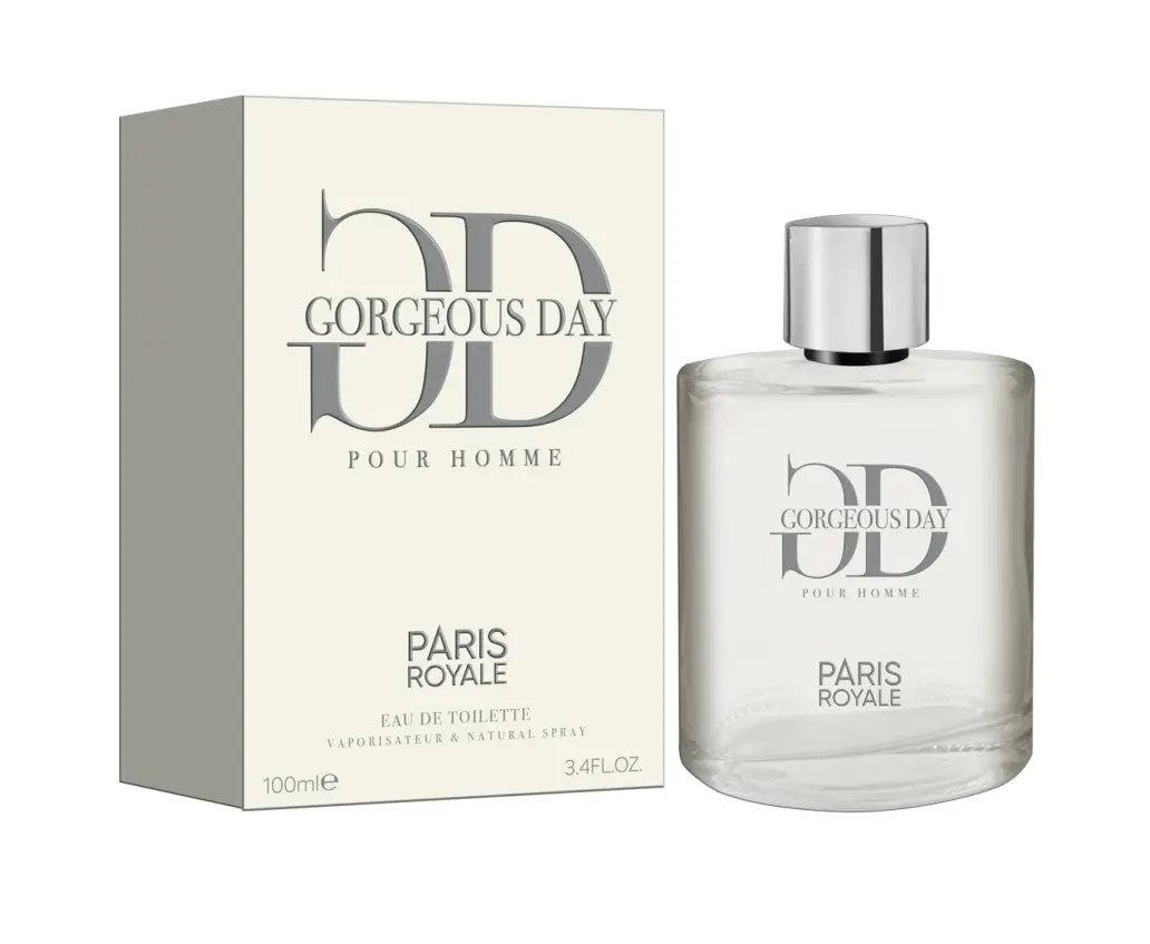 Paris Royale PR-042 : Wonderful Day 100ML EDP – Parfum d’inspiration luxe pour homme